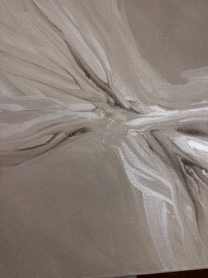 Volutes